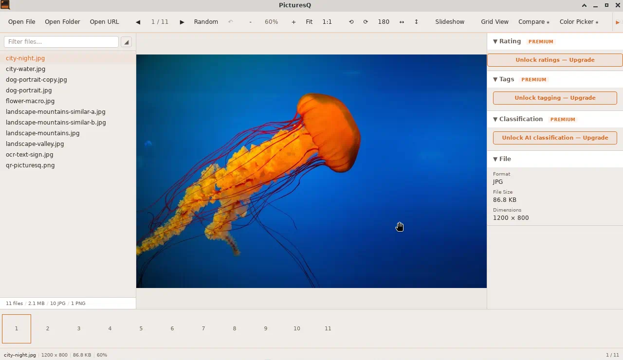 PicturesQ folder view with file list, image preview, and metadata